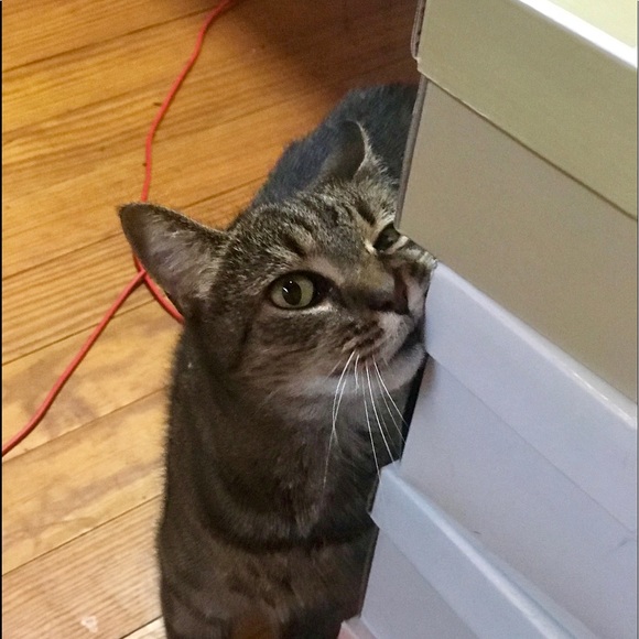 Meet your Posher, Kimberly - Picture 2 of 5